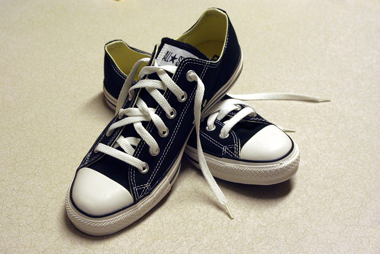 laced canvas sneakers